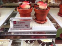 多肉杯蛋糕-85度C(上海广元店)