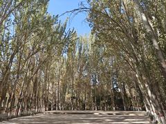 -艾提尕尔清真寺