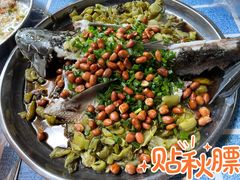 -石岐乳鸽村(桥观坊南四巷店)
