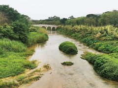 -广东花都湖国家湿地公园