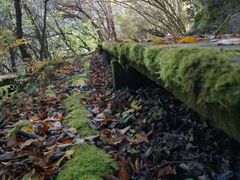 -叠溪松坪沟景区