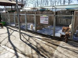 -萌宠亲子动物乐园(槐房万达店)