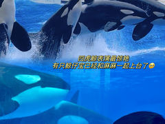 -上海海昌海洋公园