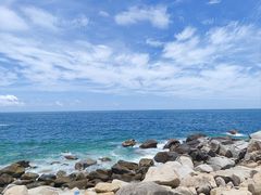 -广东惠东海龟国家级自然保护区