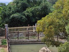 -广东惠东海龟国家级自然保护区