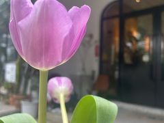 -彳亍咖啡·这里(水湾路店)