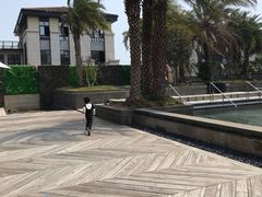 -鹭江潮餐厅•福建菜(鹭江佲家酒店)