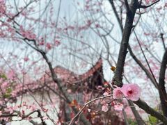 -堤角公园