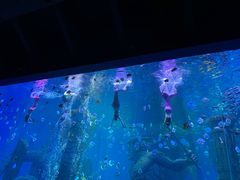 -波塞冬旅游度假区