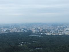 -紫金山山顶公园
