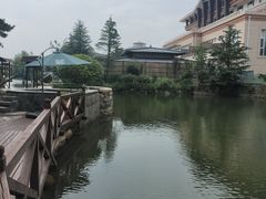 -芭东小镇温泉