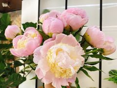 -森野花艺培训·企业团建活动沙龙