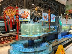 -海派美食·家宴海鲜青岛菜·石锅鲽鱼头(东方城店)