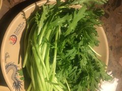-小龙坎火锅(湖滨银泰in77店)