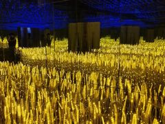 -苏州5D星空错觉艺术馆