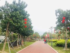 -光明港公园