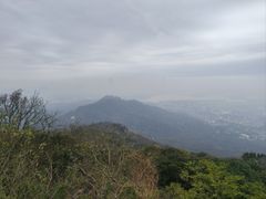 -紫金山山顶公园