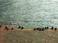 -多瑙河畔鞋履雕塑