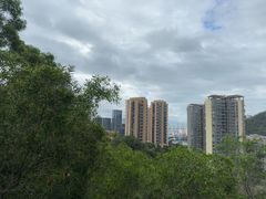 -小南山公园