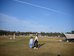 -春花秋色城市公园