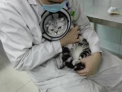 -中农大我爱我爱24h动物医院·中医针灸·猫专科·骨科医疗中心(双井店)