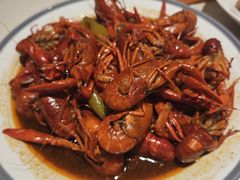 -杨氏青龙虾·羊蝎子(托乐嘉店)