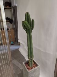 -MAGIC米几发型设计·羊毛卷