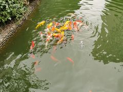 -上海虹桥宾馆(郁锦香品牌酒店)