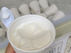 -洪馨椰子
