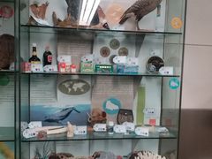 -纽瓦克自由国际机场