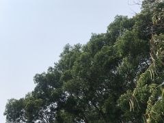 -北辰山景区