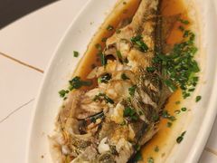 清蒸大黄鱼-金海湾海鲜排档(朱家尖店)