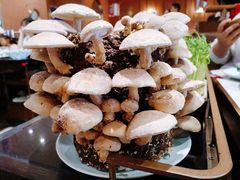 活体松香菇-捞神汤物料理(正大广场店)