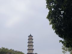 -江心屿景区