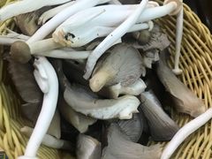 -清真·马家火锅美食城(镇江北路店)