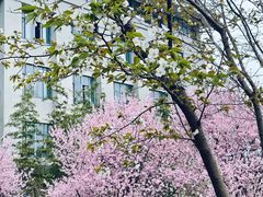 -东南大学(九龙湖校区)