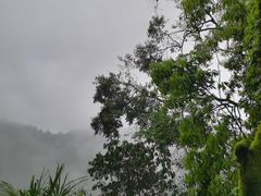 -武隆天坑寨子景区