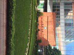 香港大学-香港大学