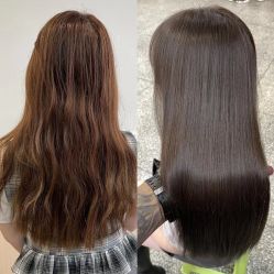 -YESIDO椰岛造型