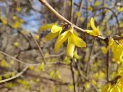 -长春市南湖公园