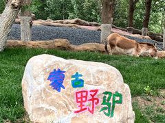 -北京野生动物园