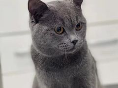 -欧奕国际动物医院