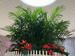 -LANN I 蘭 SPA(陆家嘴中心店)