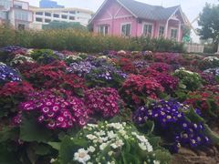 iphone_upload_pic-广州花之恋城堡酒店