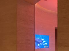 -舒小悦·舒养SPA·古法推拿(光环中心店)