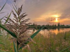 -野鸭湖国家湿地公园