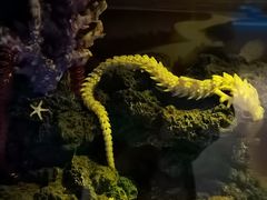 -欢乐海岸海洋奇梦馆
