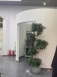 -飞梵造型