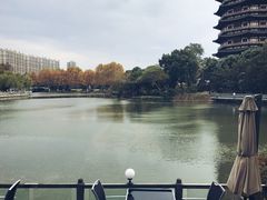 -听松楼·花园酒店·自助餐厅(红梅公园店)