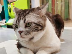 -小时光咖啡馆(开森度假森林店)